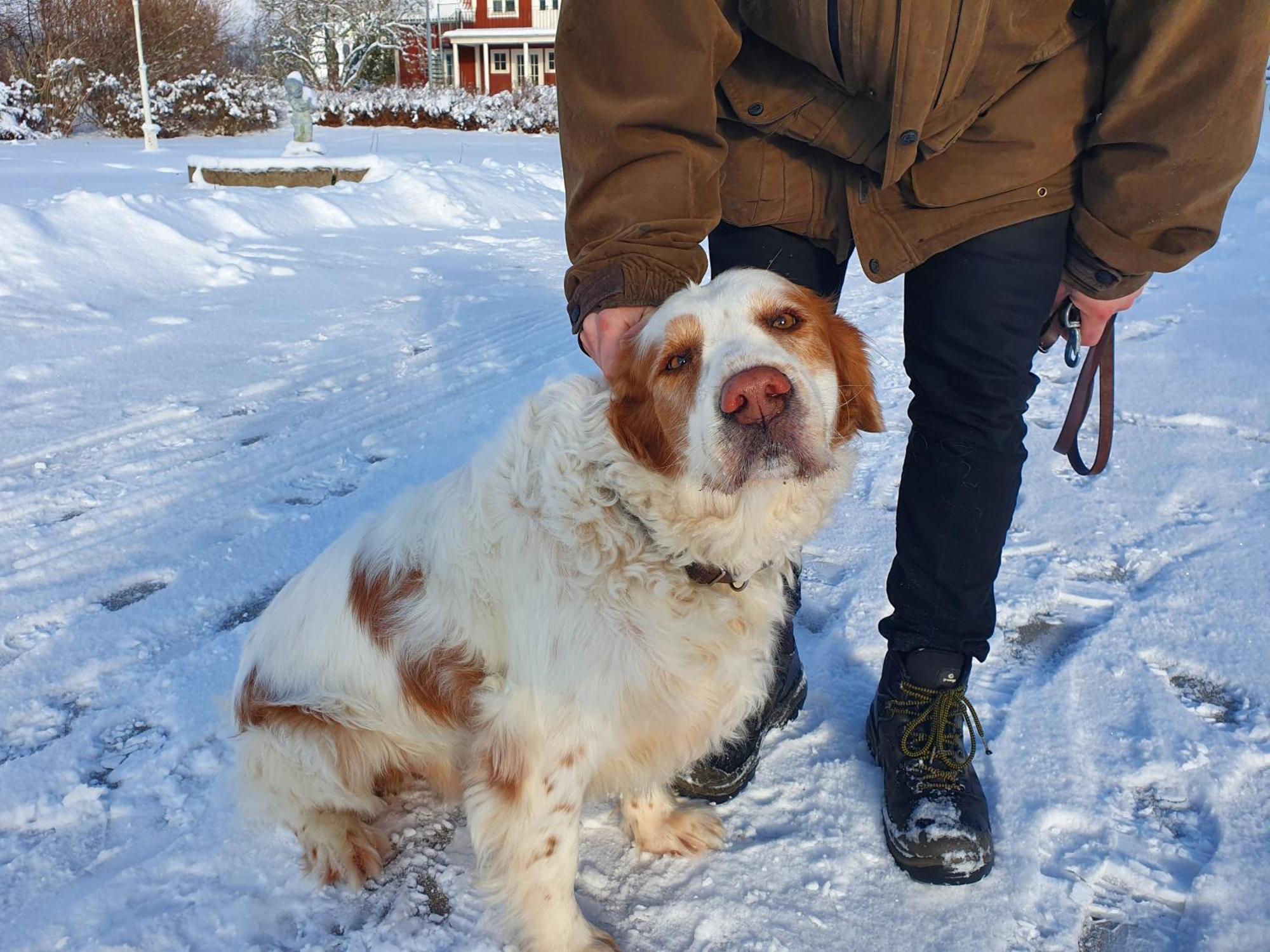 Smalandsgarden Otel Gränna Dış mekan fotoğraf